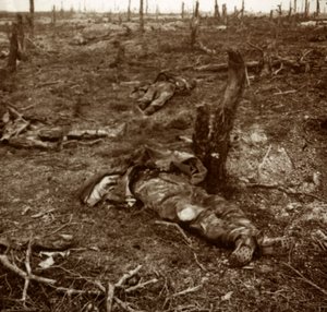 Sentiero tra i corpi, c1914-c1918 da Unbekannt