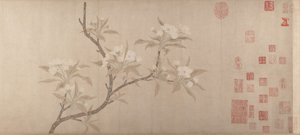 Fiori di pero da Unbekannt