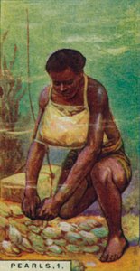 Perle 1. Subacqueo nativo al lavoro, Ceylon, 1928 da Unbekannt