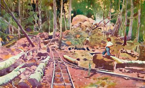 Penetrazione nella foresta amazzonica - Ferrovia Madeira-Mamoré, 1914 da Unbekannt