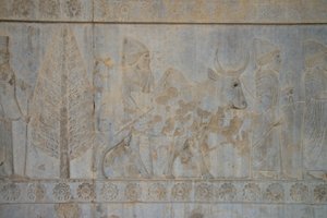 Persepoli, Iran da Unbekannt