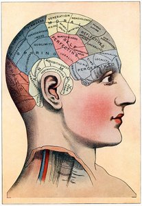 Carta frenologica, che mostra le presunte aree di attività del cervello, c1920