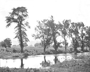 Veduta pittoresca vicino a Schooleys Mount, New Jersey, USA, c1900