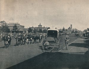 Pietermaritzburg, c1900 da Unbekannt