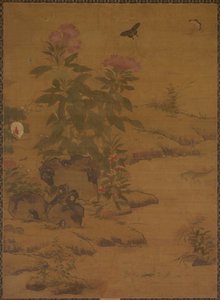 Piante e insetti, 1368-1644 da Unbekannt