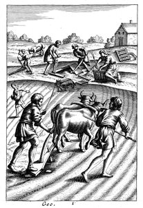 Aratura con buoi, semina a spaglio e erpicatura, XVIII secolo da Unbekannt