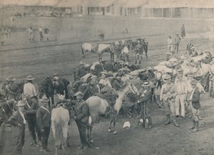 Cavallo di Plumer, c. 1900