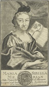 Ritratto di Maria Sibylla Merian da Unbekannt
