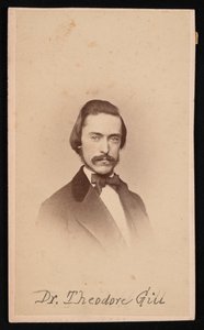 Ritratto di Theodore Nicholas Gill 1837-1914, circa 1860 da Unbekannt