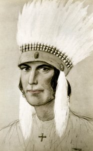 Ritratto di un indiano americano