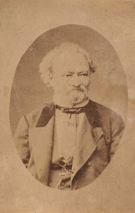 Ritratto del pianista e compositore Ferenc Erkel 1810-1893, c. 1875 da Unbekannt