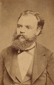 Ritratto del compositore Antonin Dvorak 1841-1904, c. 1880 da Unbekannt