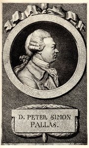 Ritratto dello zoologo e botanico Peter Simon Pallas da Unbekannt
