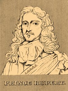 Principe Rupert, 1619-1682, 1830 da Unbekannt