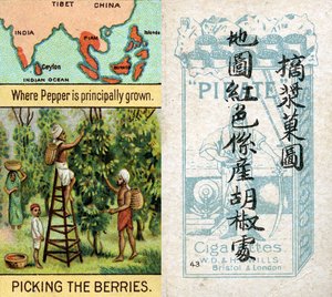 Principali aree di produzione del pepe, dalla serie di carte da sigaretta 