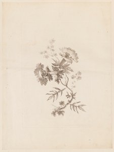 Stampa