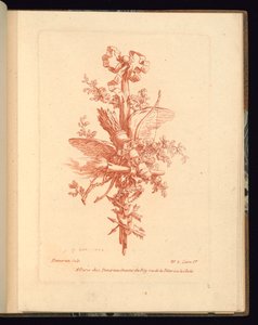 Stampa