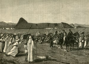 Processione del toro, 1890 da Unbekannt