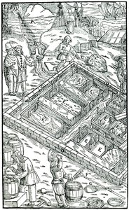 Produzione di sale evaporando acqua di mare in saline, 1556 da Unbekannt