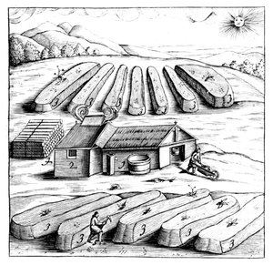 Produzione di salnitro, nitrato di potassio o KN03, 1683 da Unbekannt