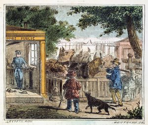 Bilancia pubblica usata per pesare il bestiame in un mercato, 1867 da Unbekannt
