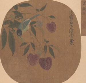 Litchi Viola e Uccello