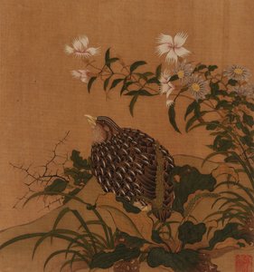 Quaglia e fiori da Unbekannt