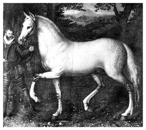Cavallo della regina Elisabetta I, 1896 da Unbekannt