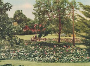 Giardini della Regina, c1947