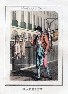 Conigli, Portland Place, Londra, 1805