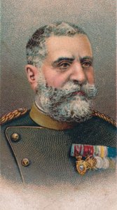 Radomir Putnik 1847-1917, Maresciallo di Campo serbo, 1917