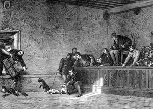 Combattimento di ratti, ricreazione di Luigi XI di Francia
