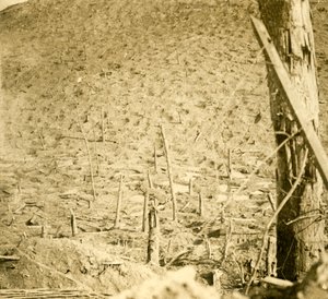 Burrone a Les Éparges, Francia settentrionale, c1914-c1918