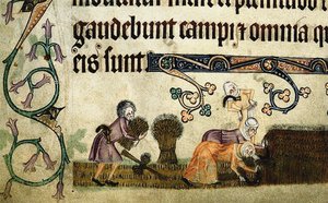 Mietitura e legatura dei covoni dal Luttrell Psalter, ca 1330 da Unbekannt
