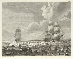 Viaggio al Polo Nord da Unbekannt