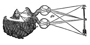 Idea di visione di René Descartes, che mostra la funzione dell