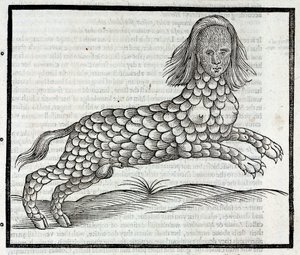 Rappresentazione della creatura Lamia (Sybaris) - Incisione tratta da "History of Four-Footed Beastes" di Edward Topsell 1607