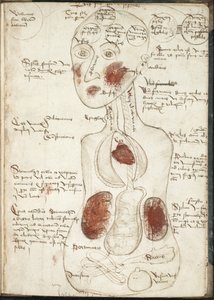 Rappresentazione di una teoria aristotelica della coscienza Da: De corpore et anima