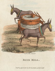 Mulino di riso da Unbekannt