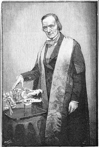 Richard Owen, naturalista britannico, c1856 1891