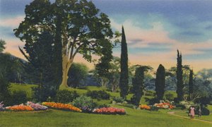 Giardino roccioso, Trinidad, B.W.I., c1940 da Unbekannt