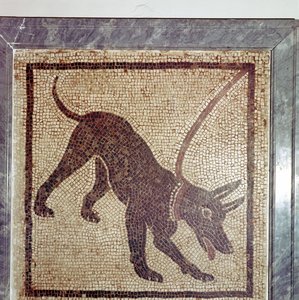 Mosaico romano di cane, Cave Canem, Pompei, Italia
