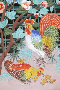 Gallo, gallina e pulcini, Seoul, Corea del Sud