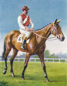 Royal Danieli, fantino: D. Moore, 1939 da Unbekannt