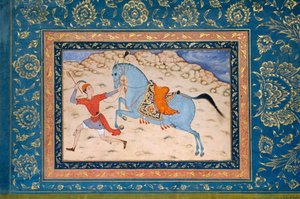 Cavallo Reale e Corridore