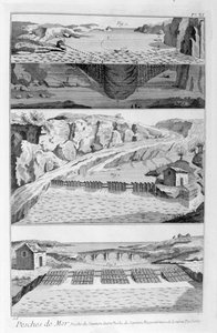 Pesca al Salmone, 1751-1777 da Unbekannt