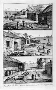Salatura, lavaggio, confezionamento delle sardine, 1751-1777 da Unbekannt