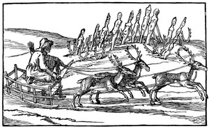 Samoiedo che viaggia su una slitta trainata da renne, fine XVI-inizio XVII secolo