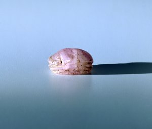 Scarab in ametista, Antico Egitto, XIII secolo a.C. da Unbekannt
