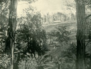 Scena a Upper Gembrook, Victoria, 1901 da Unbekannt
